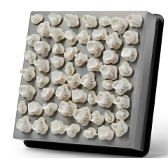 Formlabs Form 3B+ 3D-принтер для стоматологии
