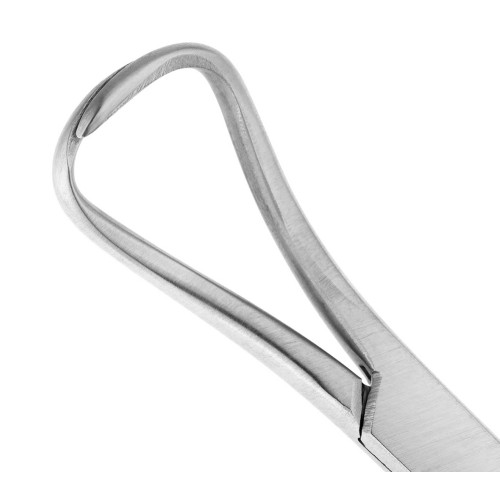 HLW Backhaus Цапка для белья, 11 см