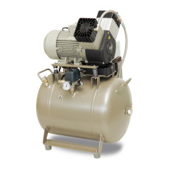EKOM DK50 2V/50/M безмасляный компрессор для 2-x стоматологических установок без кожуха, с осушителем, с ресивером 50 л, 104 л/мин