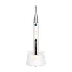 Woodpecker Endo Pace эндомотор беспроводной белый (1500 оборотов в минуту)