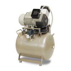 EKOM DK50 2V/50S/M безмасляный компрессор 2-х стоматологических установок, с кожухом, с осушителем, с ресивером 50 л, 120 л/мин