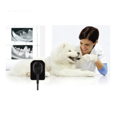 Vatech EzSensor Vet 1.0 цифровой радиовизиограф для ветеринарии